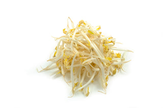 BEAN SPROUT SMALL 豆芽 (1KG/PKT)