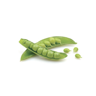 PEA SWEET / ENGLISH PEA / GARDEN PEA 甜豆 (130G/PKT)