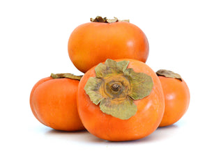 PERSIMMON 柿子 (175G-275G/NOS)