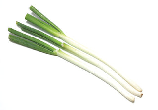 LEEK JAPANESE SHIRONEGI BEI CHONG 北葱 日本葱 (300G-400G/NOS)