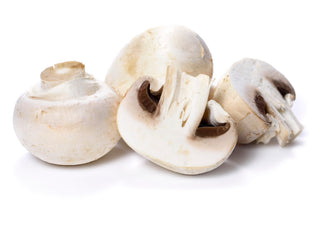 MUSHROOM WHITE BUTTON 白蘑菇 (1KG/TRAY)
