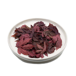 (H.CBH) HARVESTED CRANBERRY HIBISCUS LEAVES (40PCS/PUN)