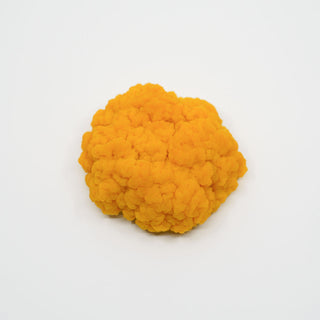 GOLDEN CLOUD MUSHROOM 金耳菇