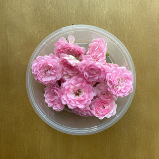 EDIBLE FLOWER - ROSES PINK (10G/PUN)