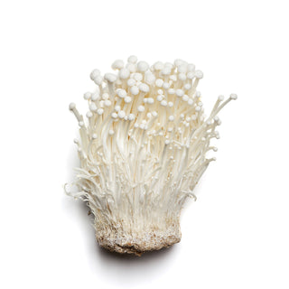 MUSHROOM ENOKI 金针菇 (120g-150G/PKT)