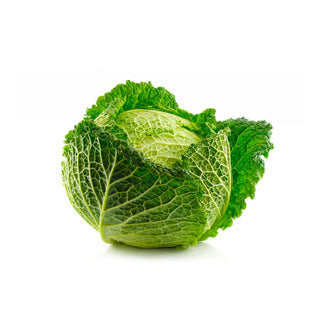 CABBAGE SAVOY 皱叶甘蓝 / 皱叶包菜 (900G - 1 KG)