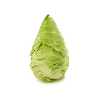 CABBAGE SUGARLOAF CABBAGE SPRING POINTED HEAD 尖头高丽菜 (1KG/NOS)