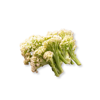 CAULILINI (300G/PKT)