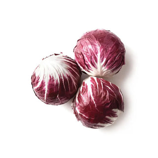 CHICORY RED 红菊苣 (500G/PKT)