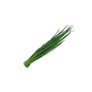 CHIVES  细香葱 / 西洋细韭菜 (50G/PKT)