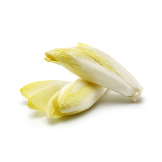 ENDIVE YELLOW BELGIUM 黄苦菊 (500G/PKT)