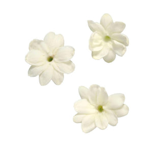 JASMINE BLOSSOM 茉莉花 (2PKT x 25PCS)