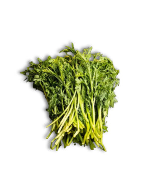 TANG OH 茼蒿 (450G-500G/PKT)