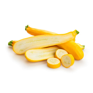 ZUCCHINI YELLOW 黄夏南瓜 (200/NOS)