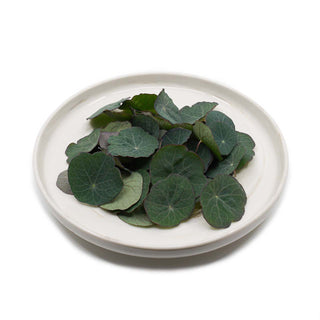 (H.NAS) HARVESTED NASTURTIUM LEAVES (40PCS/PUN)