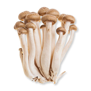 MUSHROOM SHIMEJI BROWN  蟹味菇 (150G-200G/PKT)