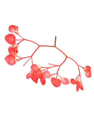 KOPPERT CRESS APPLE BLOSSOM (2X100PCS)