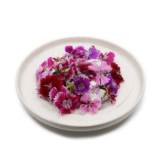 EDIBLE FLOWER - DIANTHUS FLOWER (10G/PUN)