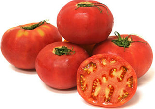 TOMATO MOMOTARO 桃太朗蕃茄 (1KG/PKT)