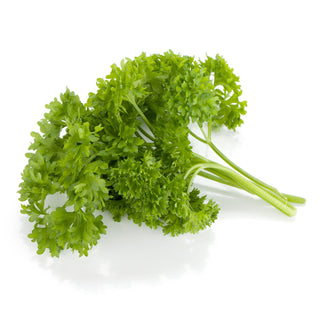 ENGLISH PARSLEY 西香菜 / 西芫荽 (300G/BUN)