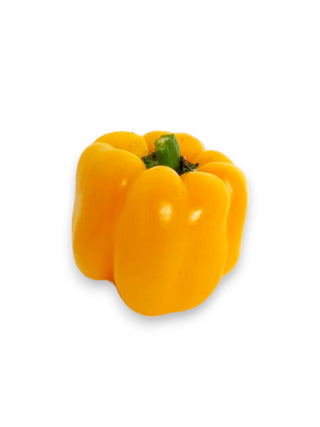 CAPSICUM PEPPER YELLOW 青灯笼椒  青大辣椒