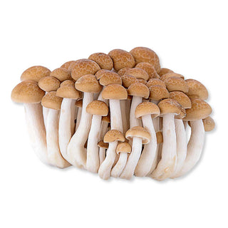 SHIMEJI MUSHROOM CUT ROOT BROWN 去根蟹味菇褐 (150G/PKT)