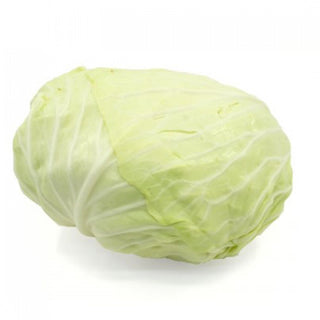 CABBAGE ROUND INDONESIA (1KG/NOS)