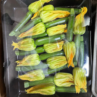 ZUCCHINI FLOWER FEMALE AUSTRALIA 夏南瓜花 (15PCS/TRAY)