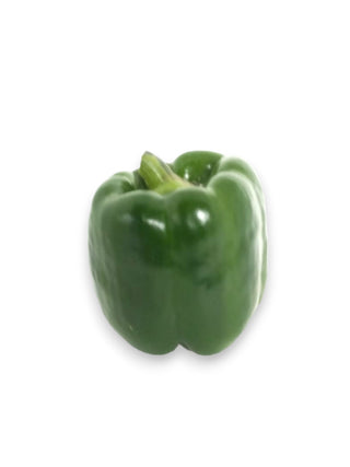 CAPSICUM PEPPER GREEN 青灯笼椒  青大辣椒 (100G/NOS)