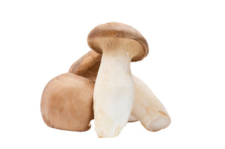 KING OYSTER MUSHROOM XXL (2.5KG/PKT)