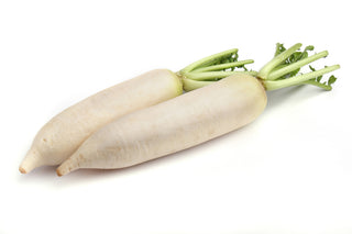 RADISH WHITE DAIKON 大白萝卜 大根 (600G-800G/NOS)