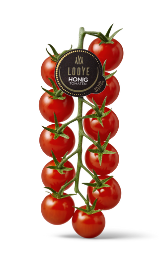 LOOYE HONING TOMATEN VINE TOMATO 3KG/CTN
