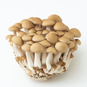MUSHROOM SHIMEJI BROWN  蟹味菇 (150G-200G/PKT)